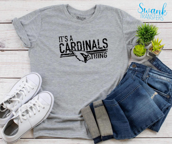 It’s a School Pride Thing Screen Print Transfer RTS