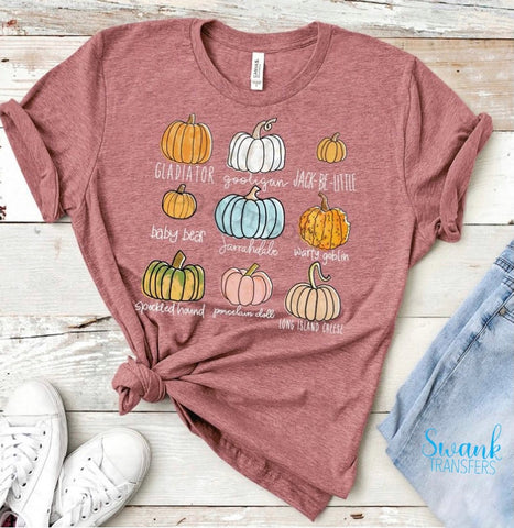 Variety of Pumpkins Full Color SOFT Screen Print Transfer
